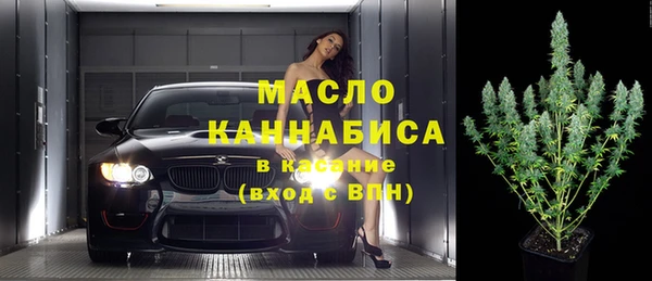 мдпв Богданович