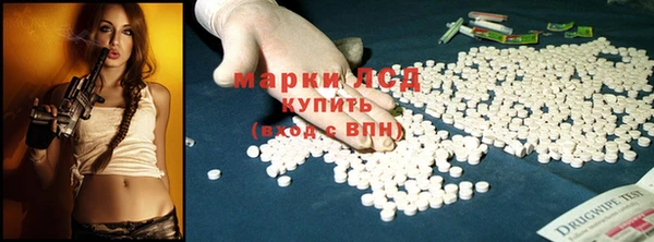 мдпв Богданович