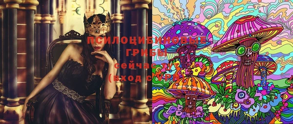 мдпв Богданович