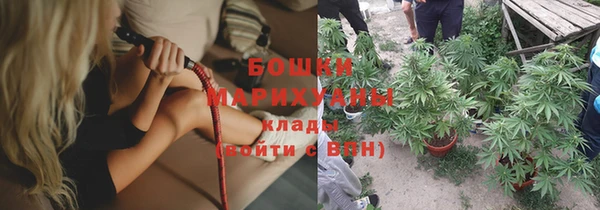 мдпв Богданович
