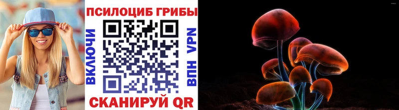 Псилоцибиновые грибы Psilocybe  где найти наркотики  Ухта 